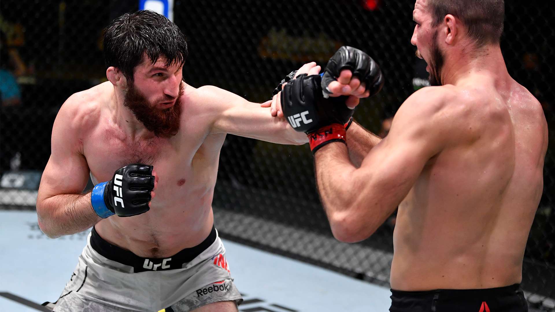 成更强的整 成更强的整