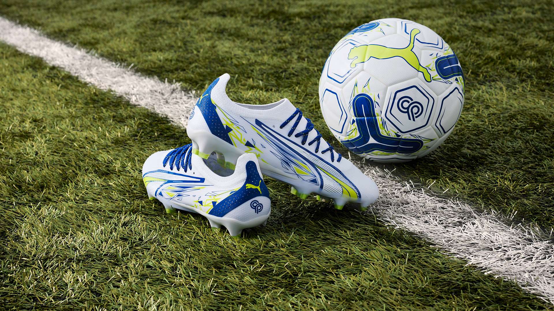 高的球员 高的球员